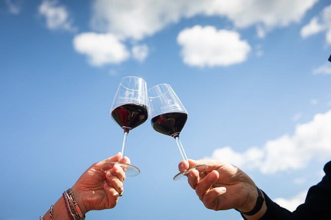 Triumph of Flavors, Winery Tour, Organic Wines in Panzano in Chianti - Key highlights you can count on