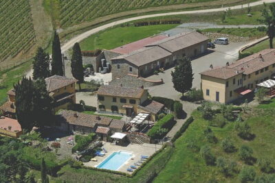 Triumph of Flavors, Winery Tour, Organic Wines in Panzano in Chianti - Organic wines in Chianti Classico: what the guide experience adds