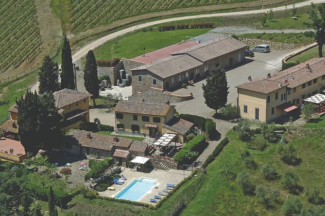 Triumph of Flavors, Winery Tour, Organic Wines in Panzano in Chianti - Organic wines in Chianti Classico: what the guide experience adds