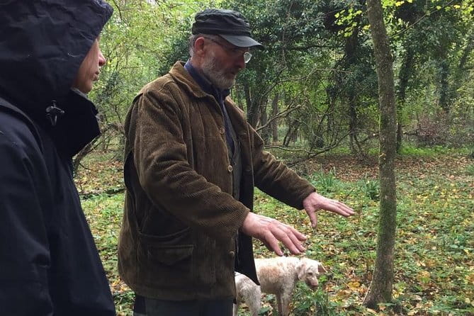 Truffle hunt, Lunch, Horse riding, a top half-day near Florence - From Piazza dei Cavalleggeri to the 1-Hour Beginner-Friendly Horse Ride