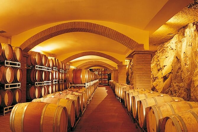 Truffle hunting and lunch experience, with Vinci and winery. - San Miniato’s Historic Center and Rocca Federiciana Walk