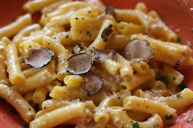 Truffle hunting and lunch experience, with Vinci and winery. - Chianti Winery Stop in Vinci: How to Read the Wine Tasting Part