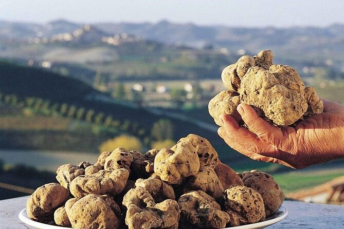 Truffle hunting and lunch experience, with Vinci and winery. - Getting There and Timing: A Full 10 Hours With Pickup
