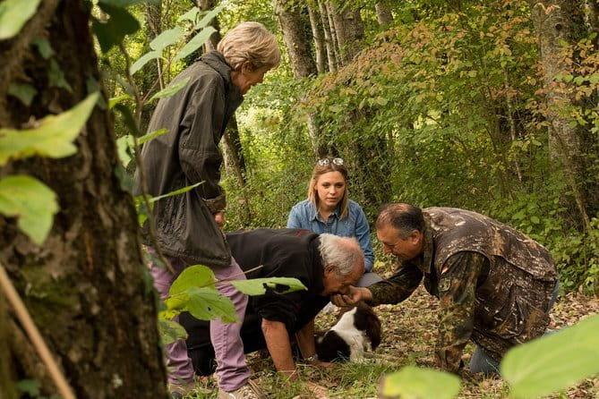 Truffle hunting + gourmet tasting (transfer included) - Key highlights you’ll feel right away