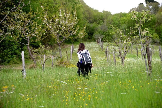Truffle hunting + gourmet tasting (transfer included) - What you’ll likely see at the farmhouse in Borgo San Lorenzo