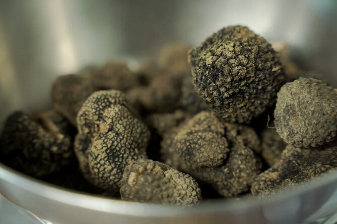 Truffle hunting + gourmet tasting (transfer included) - Who should book this truffle hunting tour from Florence
