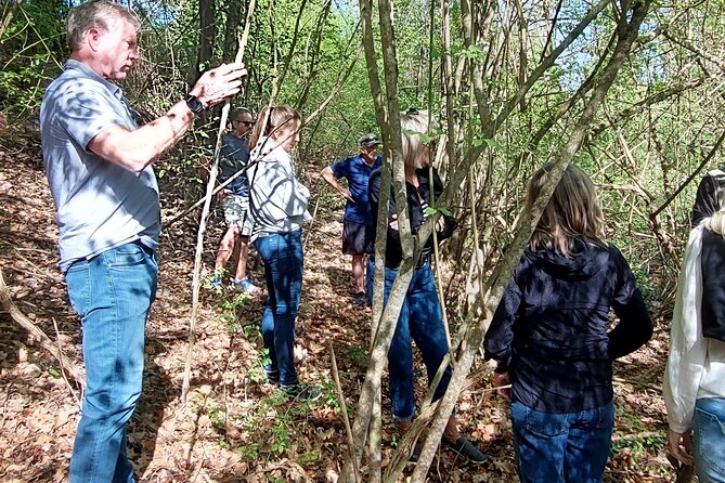 Truffle Hunting in Chianti, pasta class and lunch - Arriving at Cofferi1242: a real farm start at 10:00am