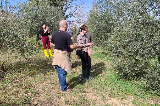 Truffle Hunting in Chianti, pasta class and lunch - Wines, olive oil, and truffle products: why the farm lunch feels complete
