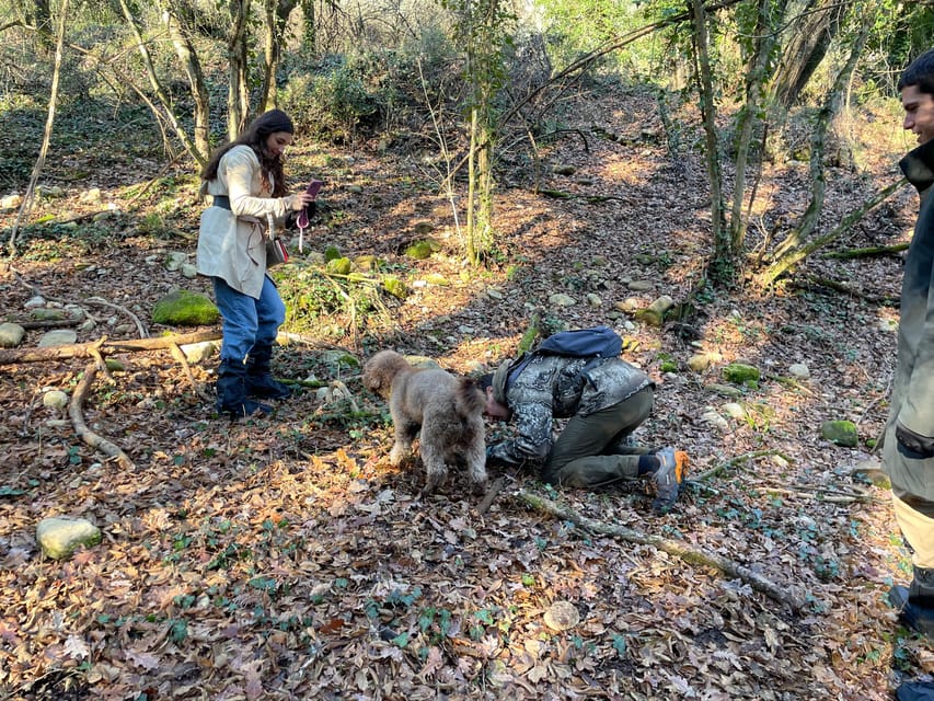 Truffle hunting in Chianti with pasta cooking class & lunch - Key Highlights You’ll Care About