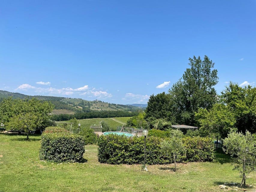 Truffle hunting in Chianti with pasta cooking class & lunch - Lunch on the Terrace: Truffle, Olive Oil, Wine, and the View