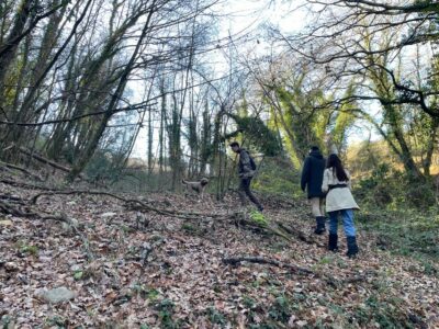 Truffle hunting in Chianti with pasta cooking class & lunch - From Forest to Kitchen: Making Fresh Tagliatelle Step by Step