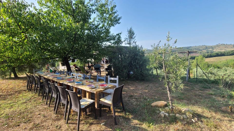 Truffle hunting in Chianti with pasta cooking class & lunch - Should You Book Cofferi 1242’s Truffle Hunt and Pasta Lunch?