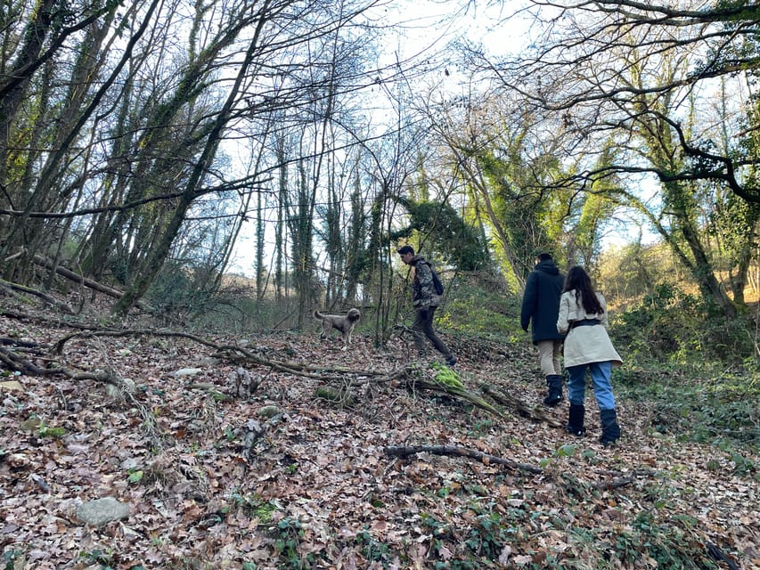Truffle hunting in Chianti with pasta cooking class & lunch - From Forest to Kitchen: Making Fresh Tagliatelle Step by Step
