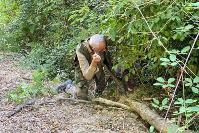 Truffle Hunting in Tuscany (private tour) - The Truffle Hunt With Dogs: What You’ll Actually See