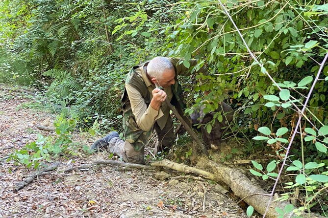 Truffle Hunting in Tuscany (private tour) - The Truffle Hunt With Dogs: What You’ll Actually See