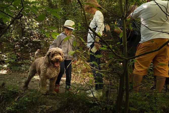 Truffle Picking Experience with 3 Course Meal in Chianti hills - Key highlights you’ll actually feel