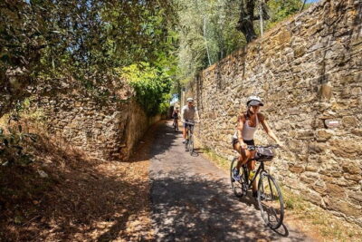 Tuscany Bike Tour with Wine, Oil and Food in the Florentine Hills - Vineyards, Olive Groves, and the Stories Behind Olive Oil