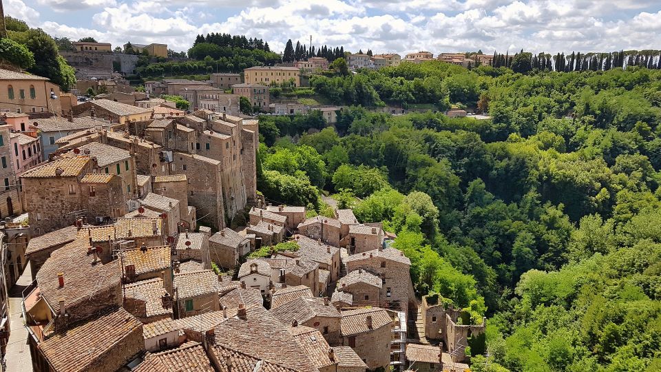 Tuscany: Chianti Wine Paradise Tour - Wine Tasting in Chianti Classico: What You Should Pay Attention To