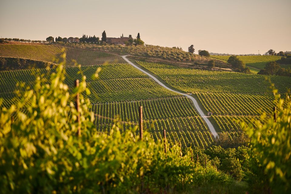 Tuscany: Chianti Wine Paradise Tour - Best Fit: Who Will Enjoy This Tour Most