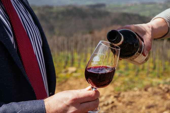 Tuscany EXCLUSIVE Private Day Trip from Florence by Car with Wine - Key things you’ll notice on this Chianti day