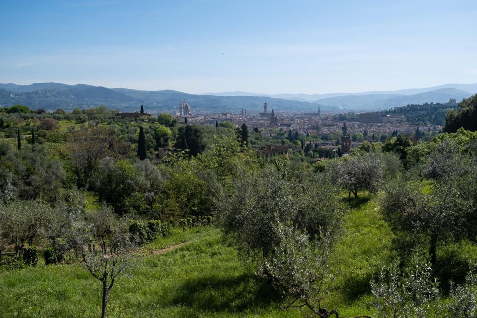 Tuscany Hills Bike Tour with Lunch at farm and Wine Tasting - The ride profile: distance, climbing, and why your legs will talk
