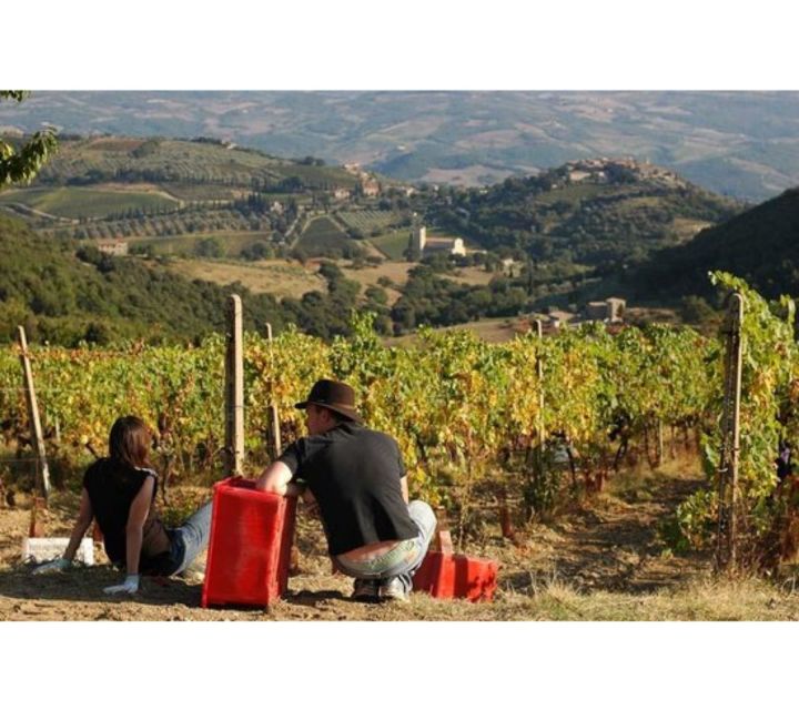 Tuscany: Montalcino Dinner at San Gimignano Winery - Price and Logistics: Is $215.24 Worth It?