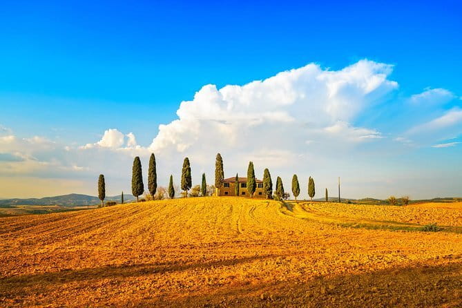 Tuscany Private Tour with Wine and Cheese Tasting from Florence - Key points worth your attention