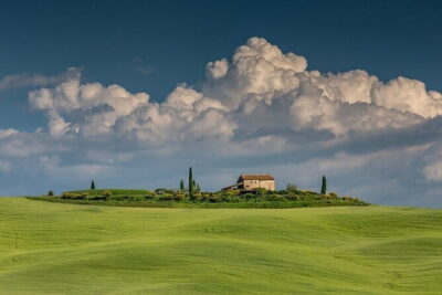Tuscany Tour Siena - San Gimignano - Winery - San Gimignano: A UNESCO Center of Towers and Vernaccia Wine
