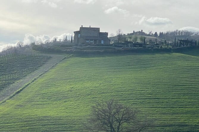 Tuscany Tour Siena - San Gimignano - Winery - Who This Tour Fits Best (and who should reconsider)