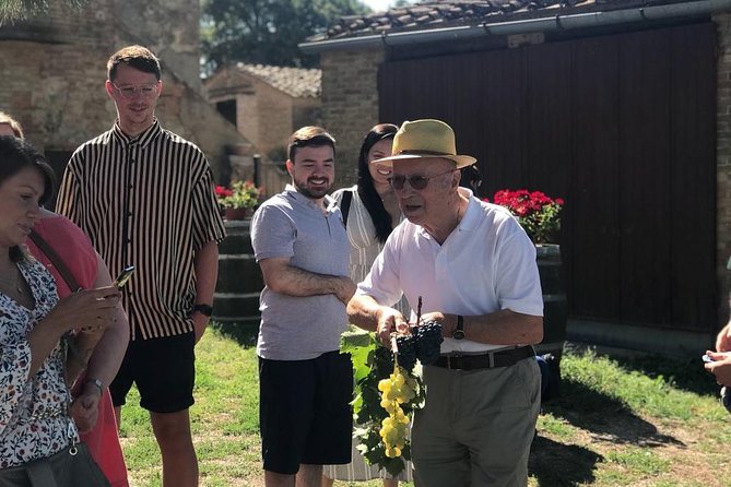 Tuscany Wine & Hills from Florence - Small Group - Key Points to Know Before You Go
