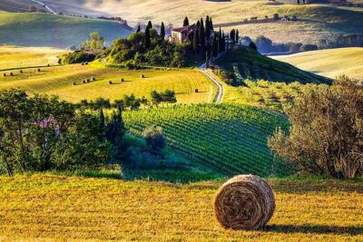 Tuscany Wine & Hills from Florence - Small Group - Montepulciano Free Time: Wandering a Hill Town Without Rushing