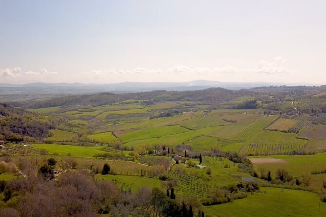 Tuscany Wine & Hills from Florence - Small Group - Lunch and Tastings: What’s Included (and Why It’s a Value Lever)