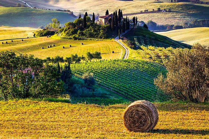 Tuscany Wine & Hills from Florence - Small Group - Montepulciano Free Time: Wandering a Hill Town Without Rushing