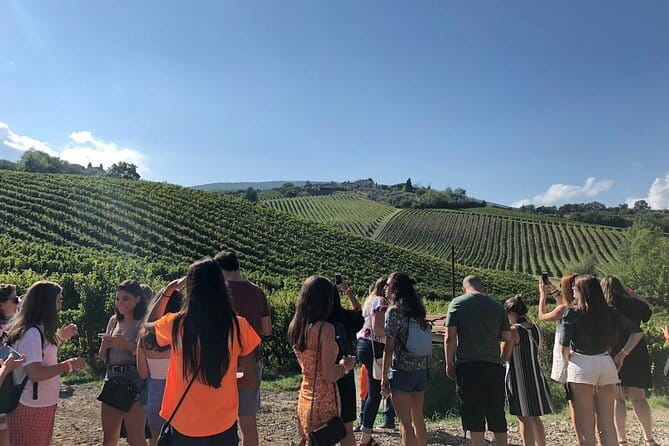Tuscany Wine Tastings with Panoramic View - Florence to Chianti - Food Pairings That Actually Teach You What to Notice
