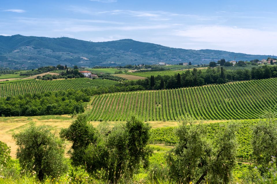 Vinci: The Footsteps of Leonardo and Wine Tasting Tour - How the Stops Work Together (So You Don’t Leave Feeling Rushed)