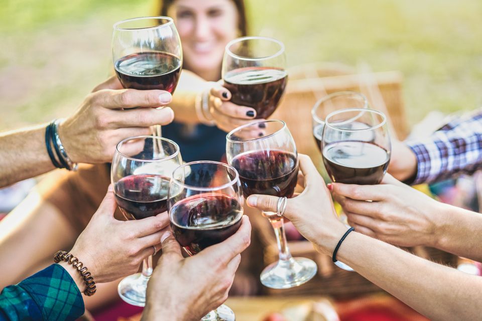 Vinci: The Footsteps of Leonardo and Wine Tasting Tour - Getting There: Private Pickup and a Driver Escort You’ll Actually Use