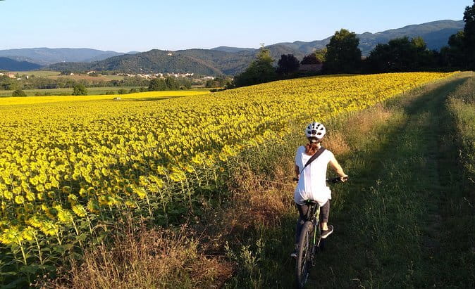Vintage Fiat 500 Wine Tour and Tuscan Lunch at Farm in Chianti - Wine tasting and olive oil: how this tour teaches flavor