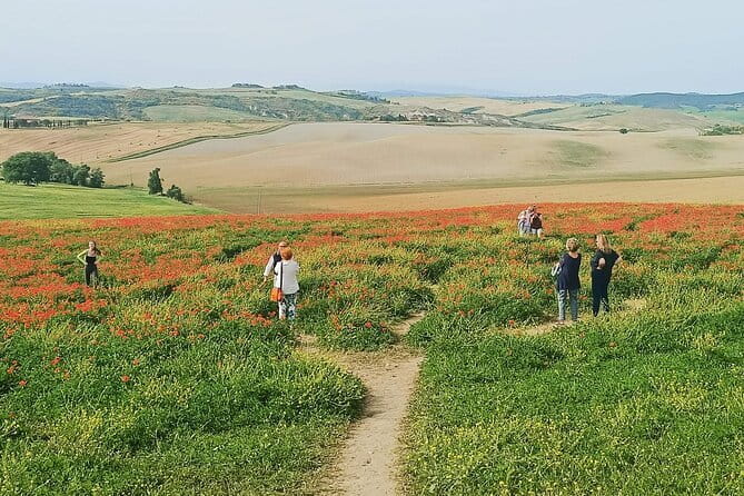 VIP Brunello Montalcino, Montepulciano & Val d'Orcia with Lunch - From Florence to Monteriggioni: Chianti hills first thing