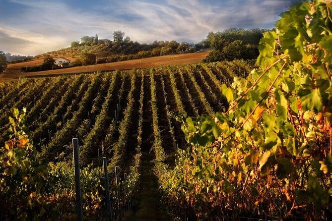 VIP Brunello Montalcino, Montepulciano & Val d'Orcia with Lunch - Who this tour is for (and who might prefer something else)