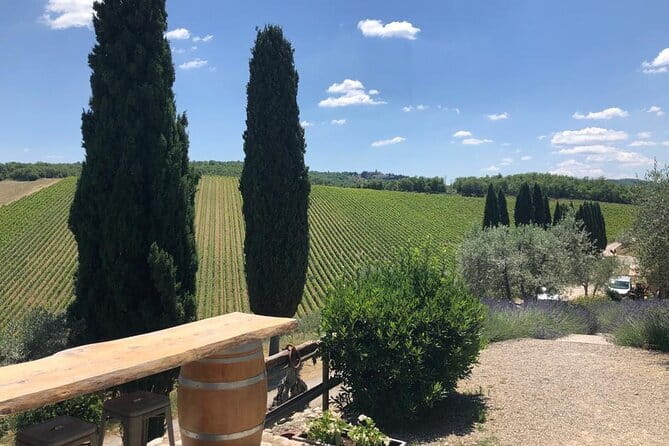 Visit Of The Chianti Classico And The Tuscan Countryside - Key highlights to look for