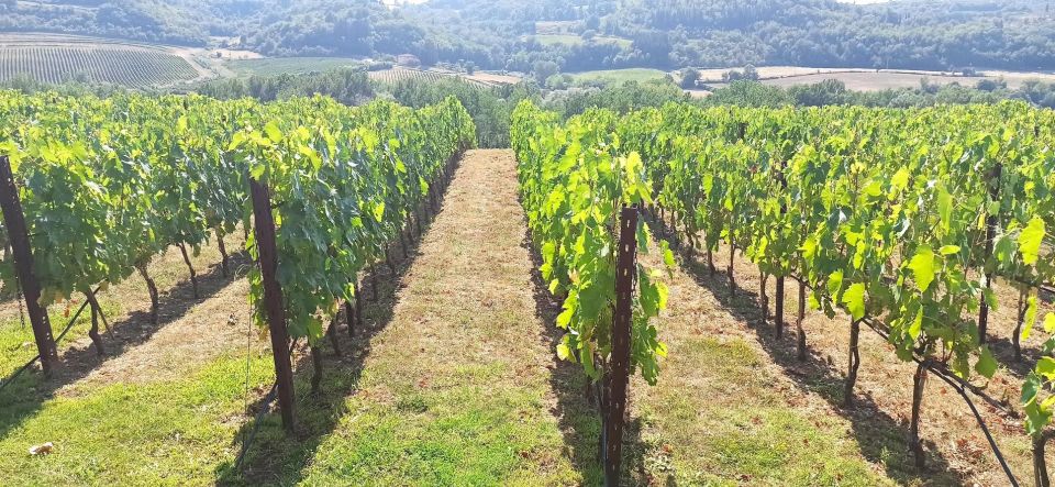 Visit Siena and San Gimignano with lunch at a family farm - Florence Pickup: What Door-to-Door Actually Feels Like