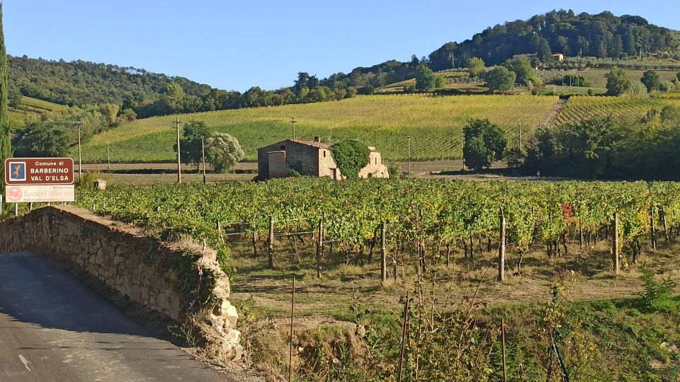 Visit Siena and San Gimignano with lunch at a family farm - Six Wine Tastings and a Vineyard Tour: How to Avoid a Sipping Blur