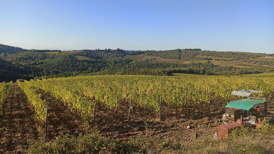 Visit Siena and San Gimignano with lunch at a family farm - Chianti Hills Photo Stop: A 20-Minute Reset for Your Camera