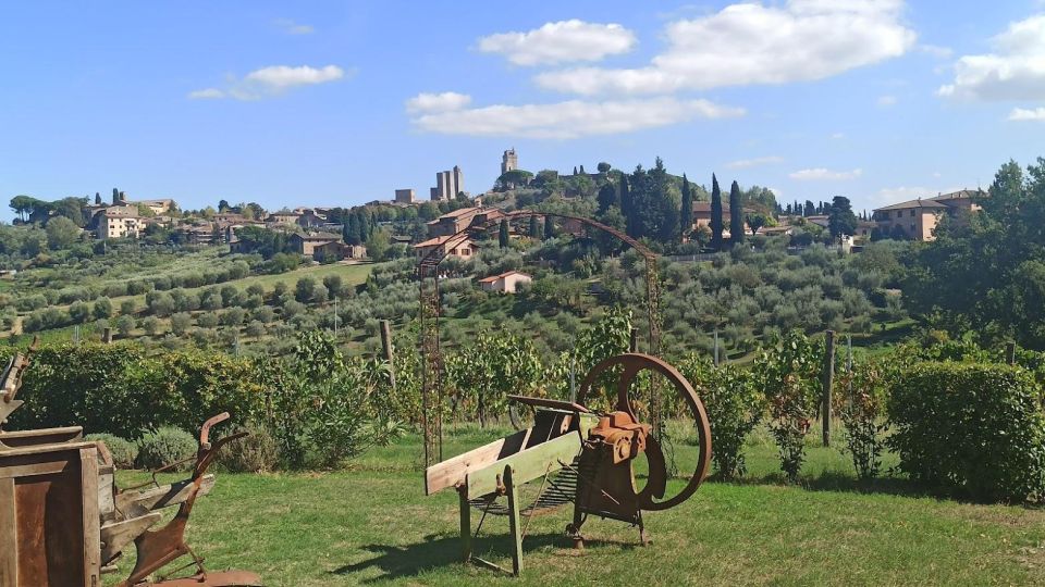 Visit Siena and San Gimignano with lunch at a family farm - Pace, Shoes, and Who This Day Trip Fits Best