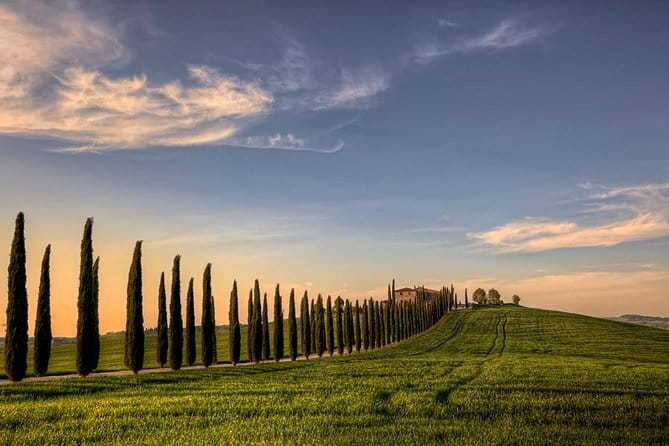 Wine Experience In Chianti Hills from Florence - The bus ride and group size: comfortable, but not quiet