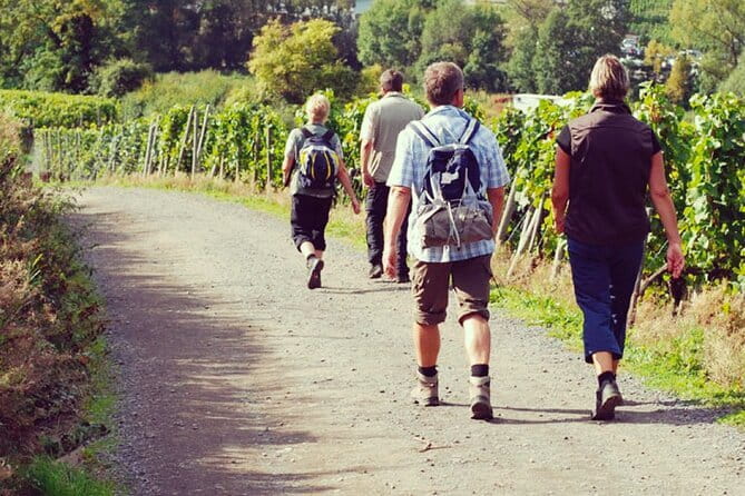 Wine Hiking Sip & Trek - Key highlights to know before you go