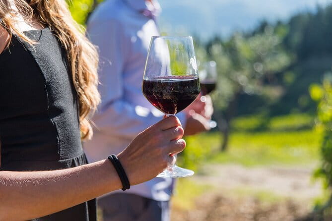 Wine Hiking Sip & Trek - A smooth day out of Florence: private ride + easy meeting point