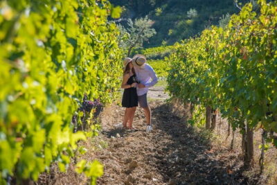 Wine Hiking Sip & Trek - Montespertoli and the castle break: the wine tasting moment