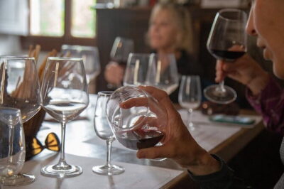 Wine Tasting Activity at Chianti Rufina - The Estate Welcome: Garden Seating and the Gondi Connection