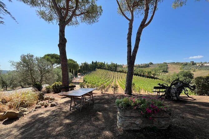Wine Tasting and History Guided Day Tour in Chianti - Private Chianti Day From Florence: What the 9:30 Start Really Means